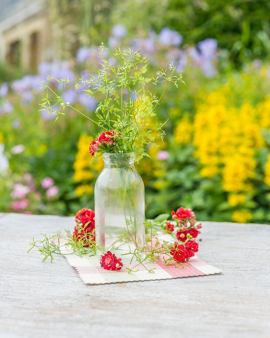 Kerbel in Glasflasche auf Gartentisch