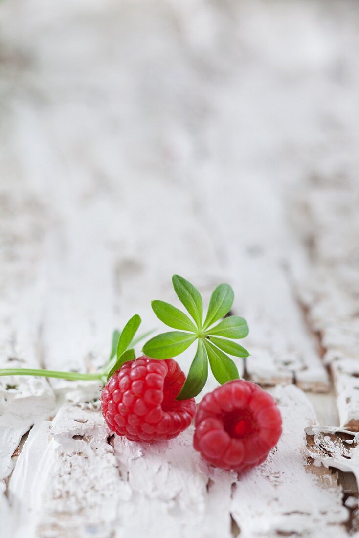 Two raspberries and a sprig of woodruff on a white wooden surface