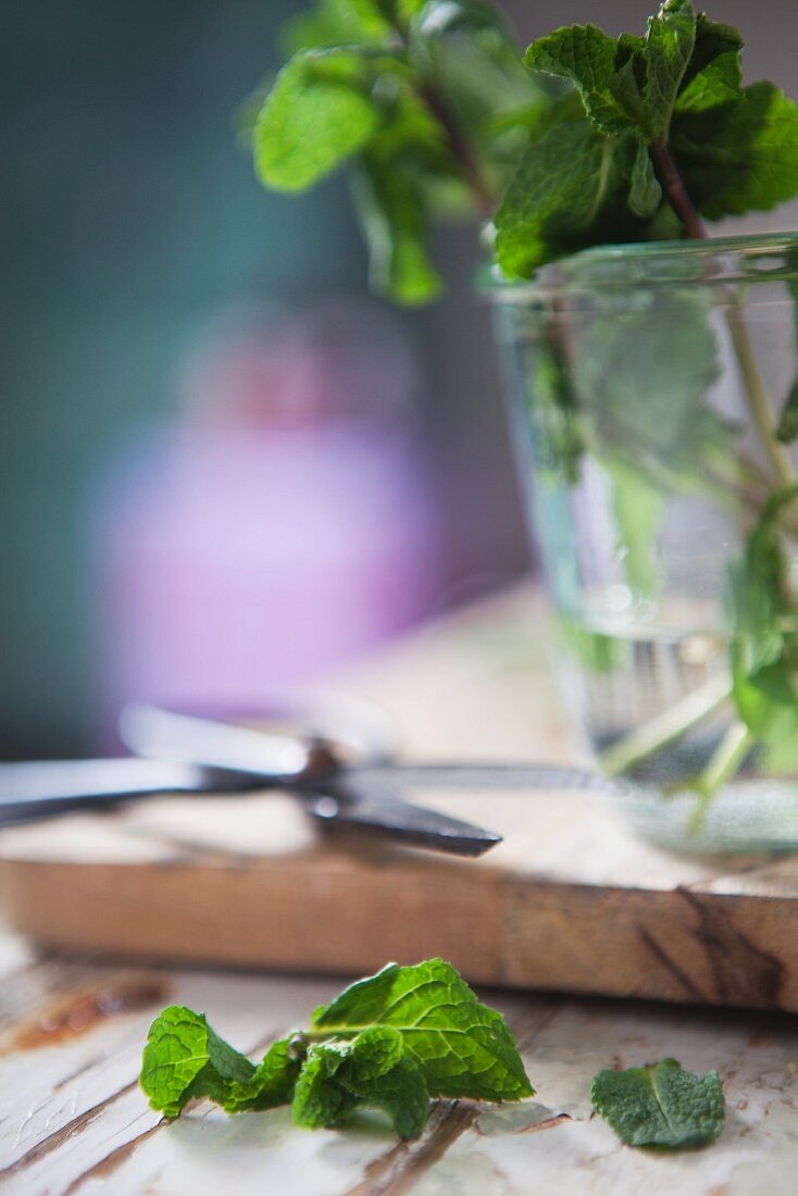 An arrangement featuring a pair of herb scissors and fresh peppermint in a glass of water