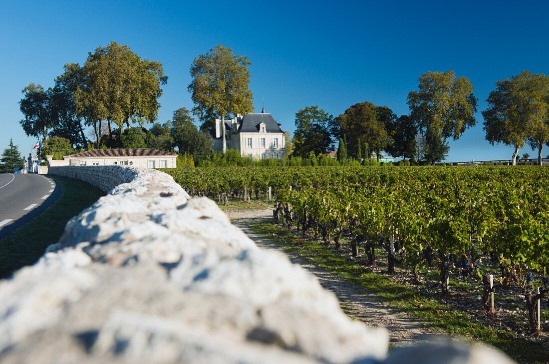 Château Pichon-Longueville-Comtesse De Lalande an der Route des Châteaux