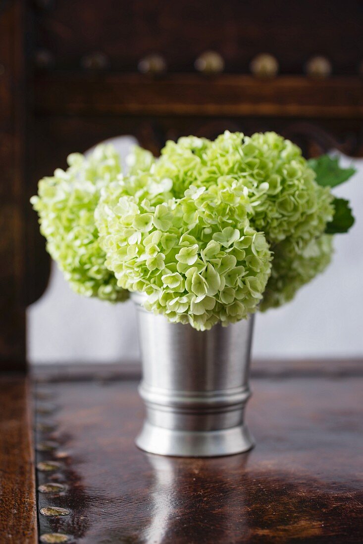 Blumenstrauss aus weissen Hortensienblüten in Zinnvase auf Ledertisch