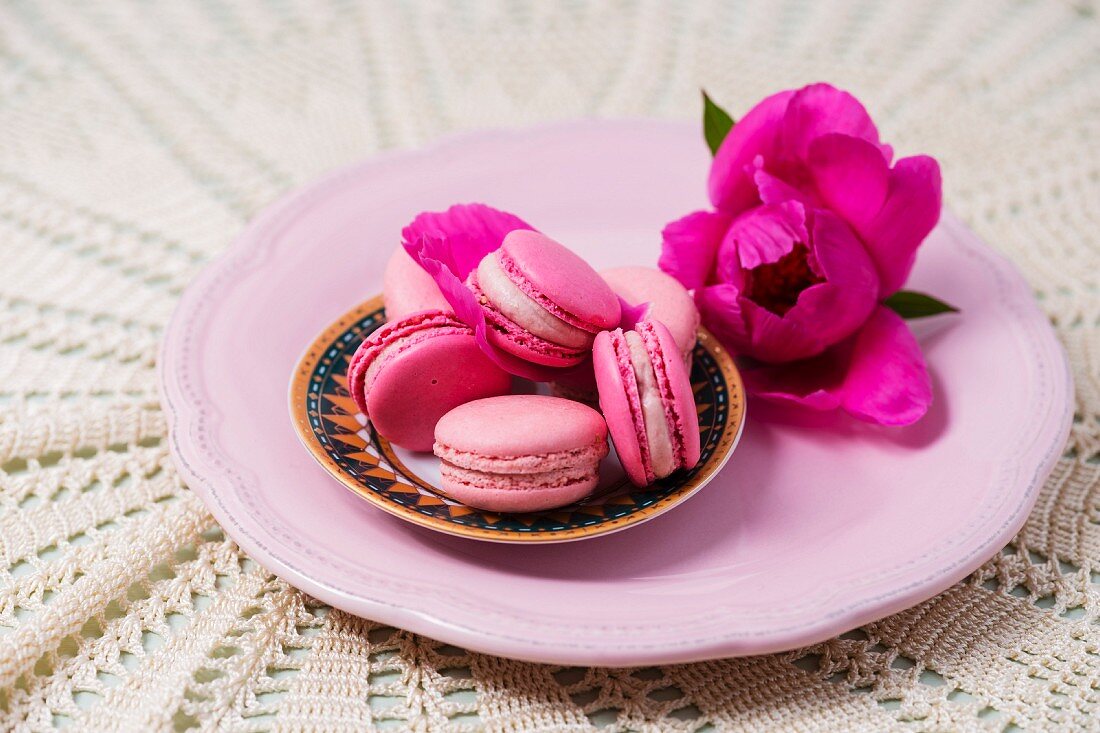 Pinkfarbene Macarons dekoriert mit Pfingstblumenblüte
