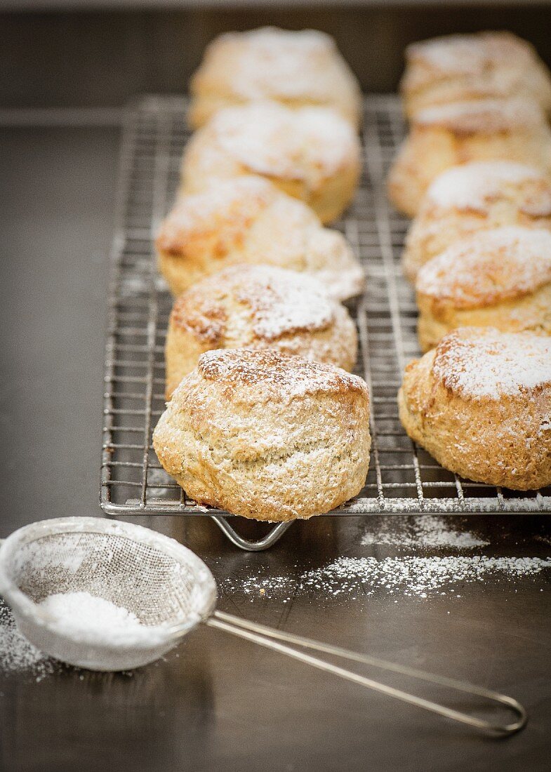 Freshly baked scones dusted with icing sugar on a cooling rack