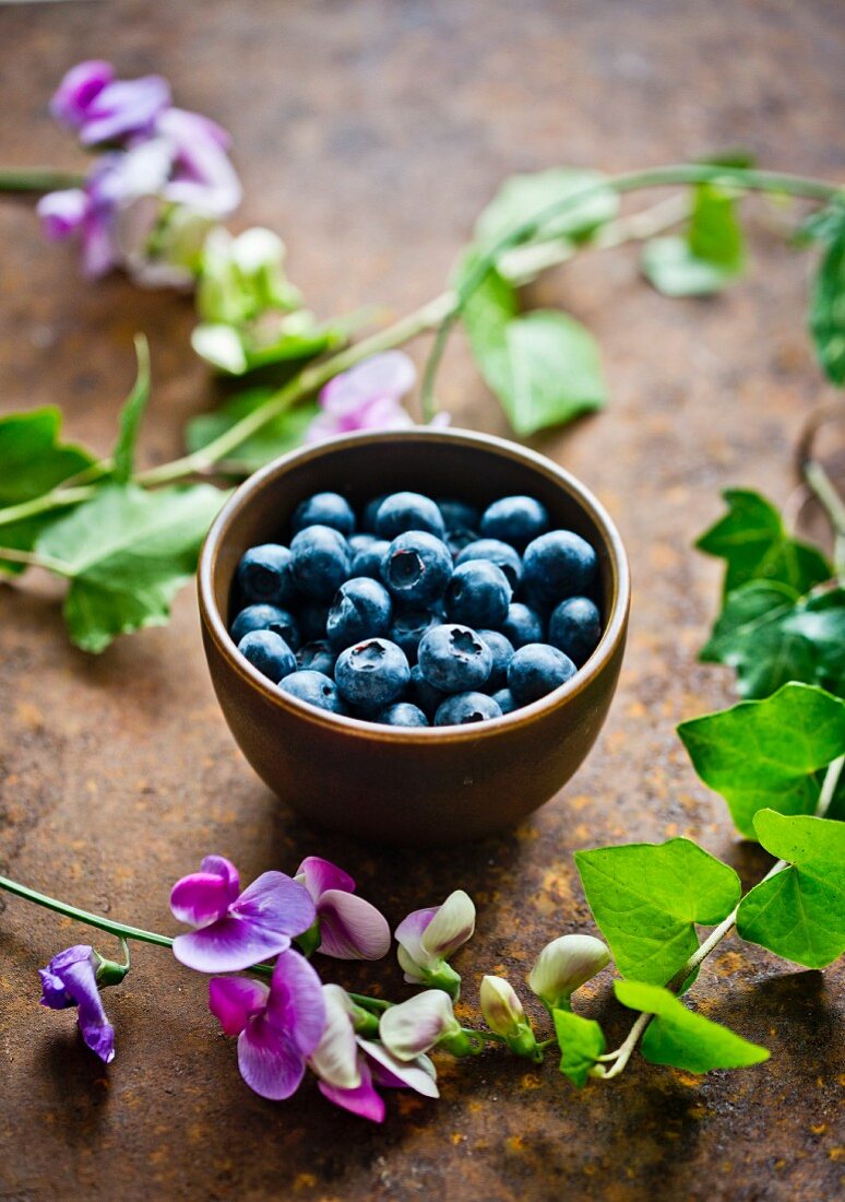 A bowl of fresh blueberries