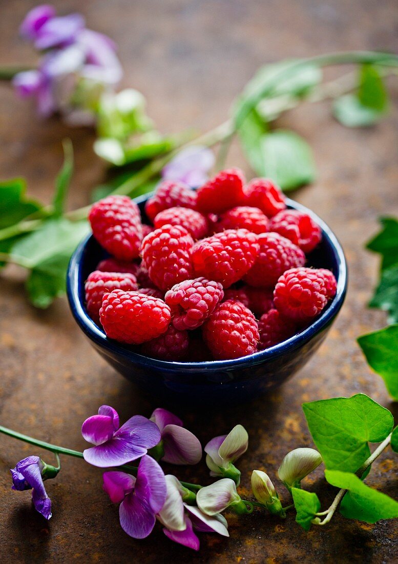 Frische Himbeeren in einem Schälchen