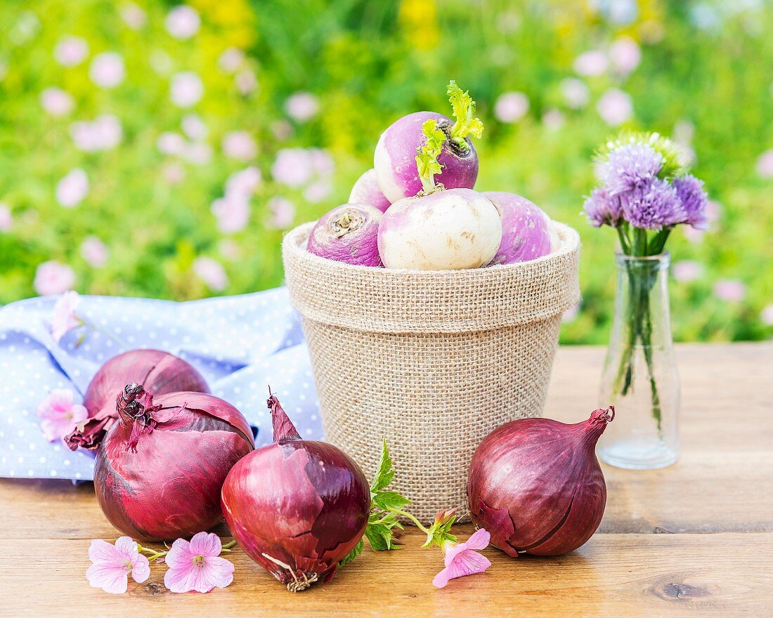 Rübchen in Blumentopf und rote Zwiebeln auf Gartentisch