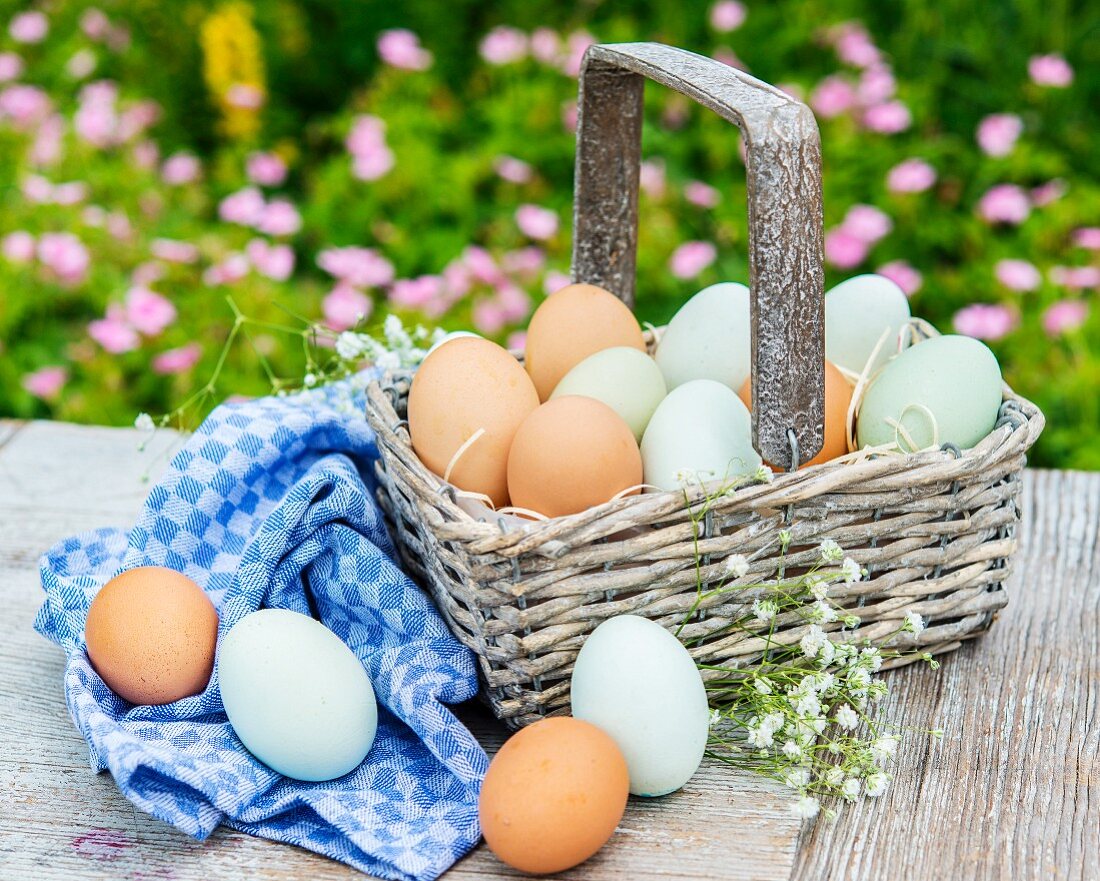 Brown and green eggs in a basket on the garden table