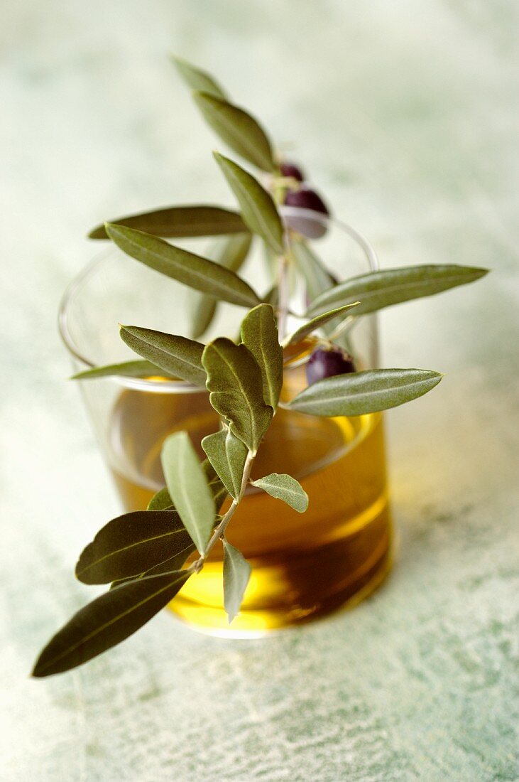 A glass of olive oil with an olive sprig