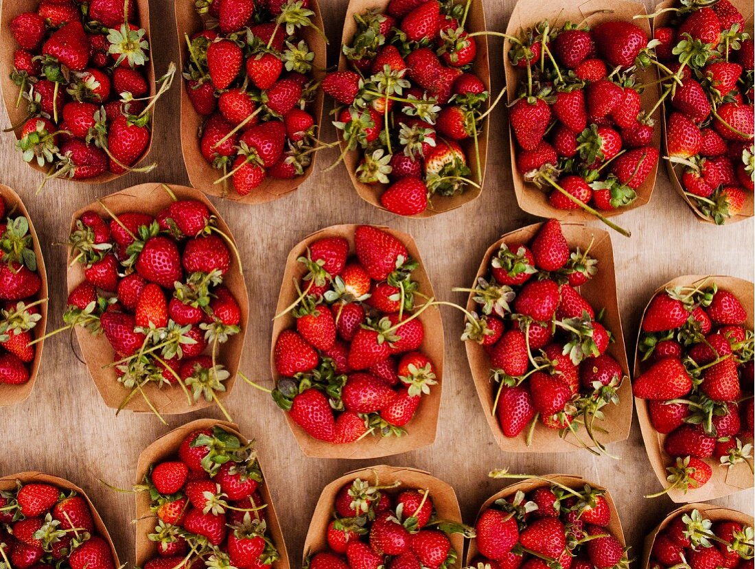 Cardboard punnets of wild strawberries at an organic market