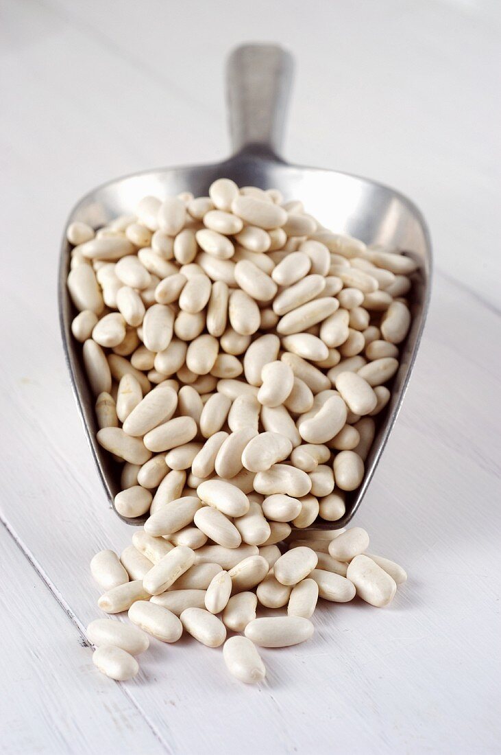 White cannellini beans on a scoop