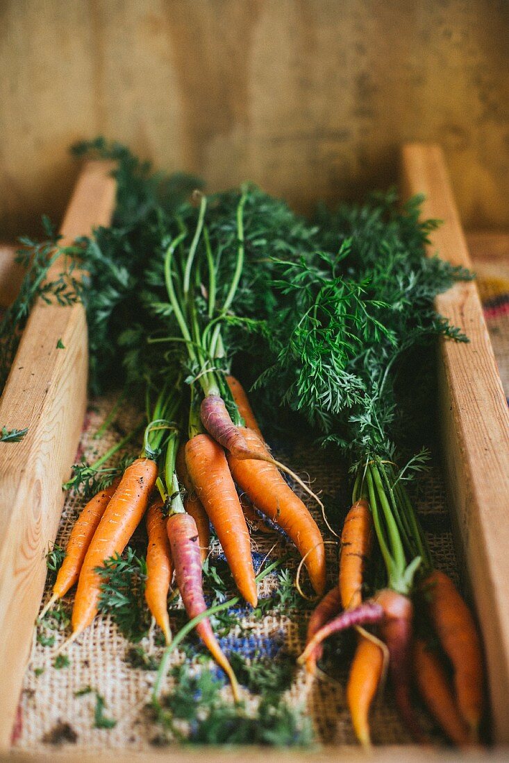 Fresh carrots (close-up)