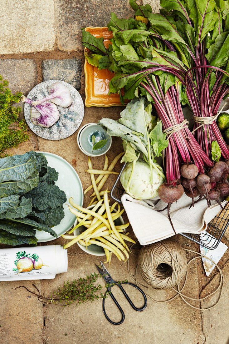 An arrangement of freshly harvested garden vegetables (seen from above)