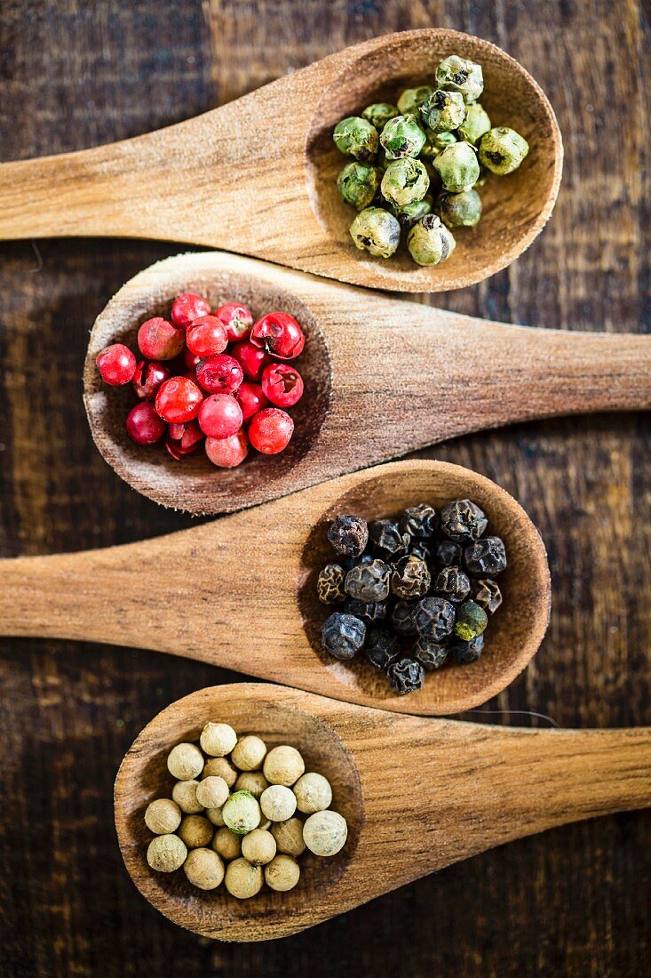 Four types of peppercorns on wooden spoons (seen from above)