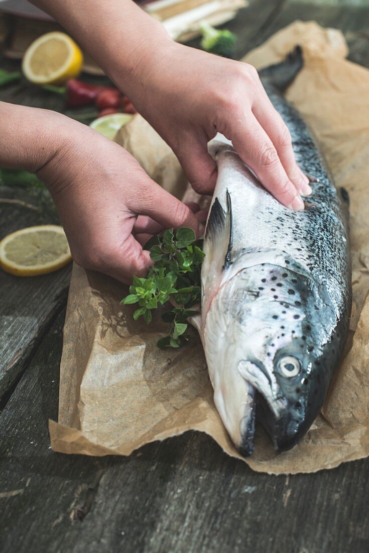 Rohen Lachs mit Kräutern füllen