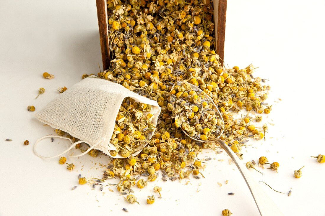 A teabag being filled with dried camomile flowers