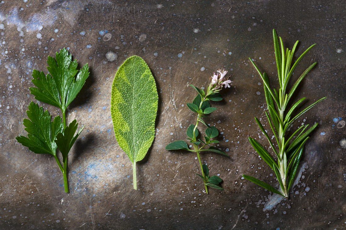Four types of fresh herbs