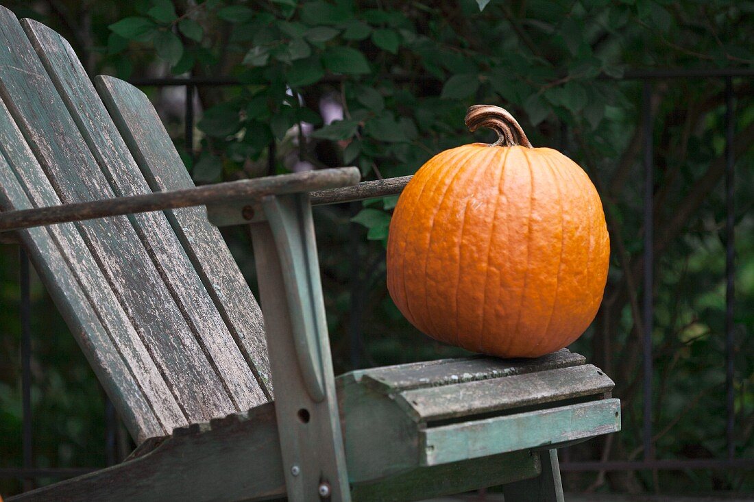 Kürbis auf einem Holzstuhl im Garten