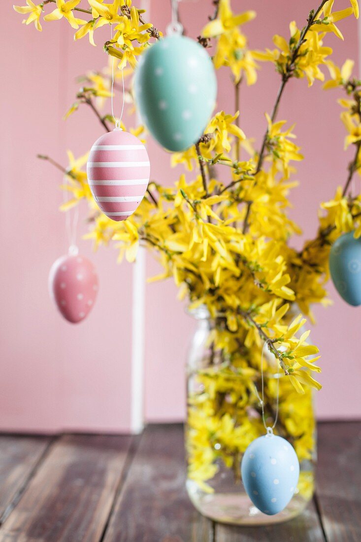 Blühende Forsythien-Zweige mit Ostereiern vor pinker Wand