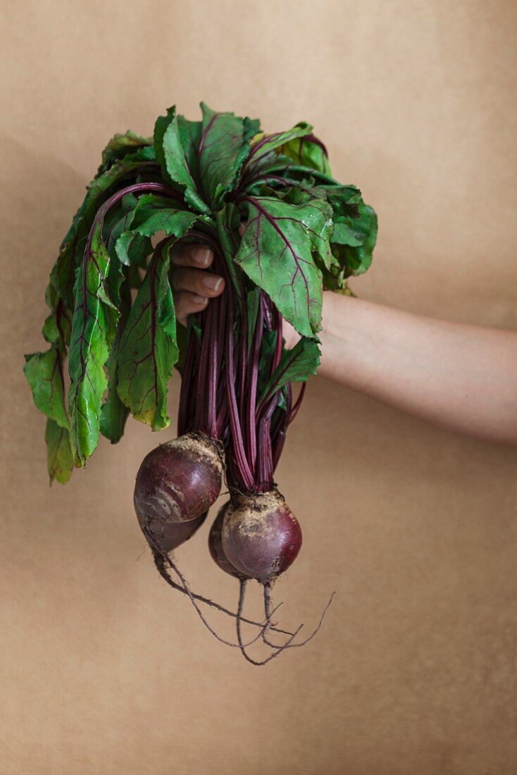 A woman holding two beetroots