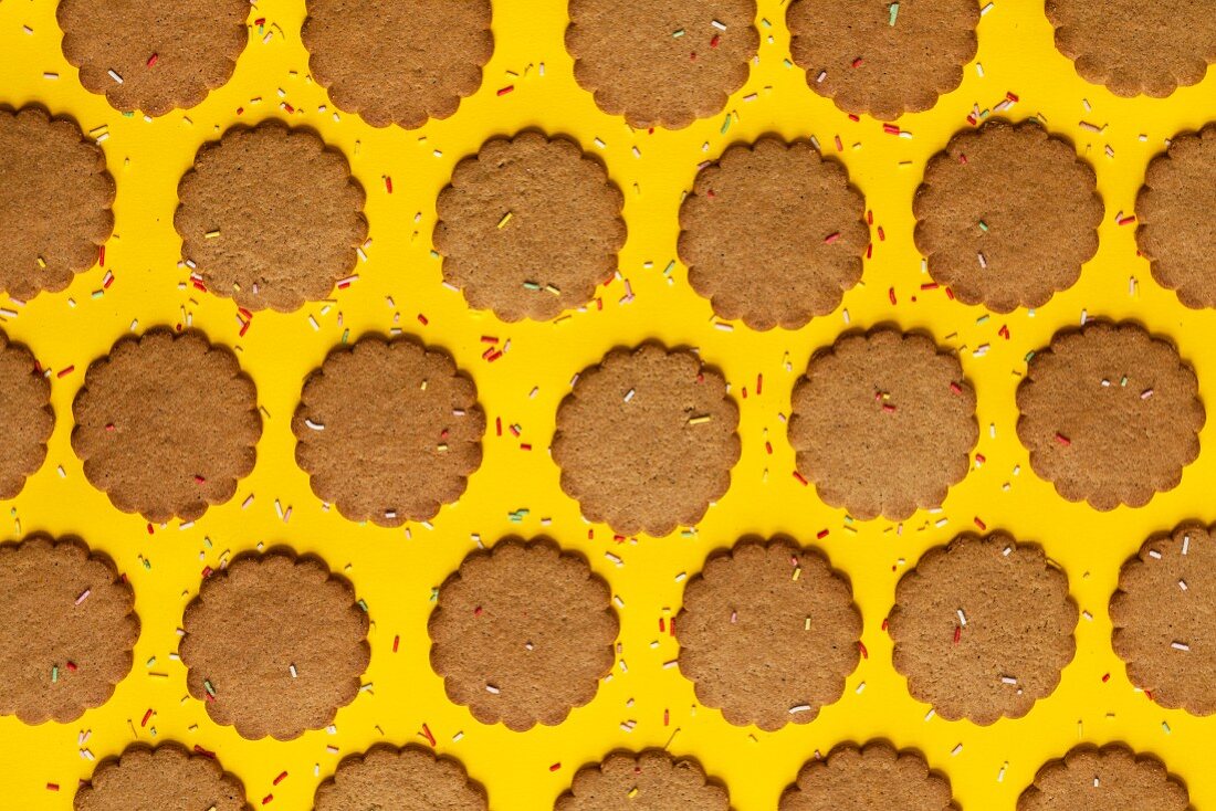 Mehrere Reihen von Ingwerplätzchen mit Zuckerstreuseln auf gelbem Untergrund