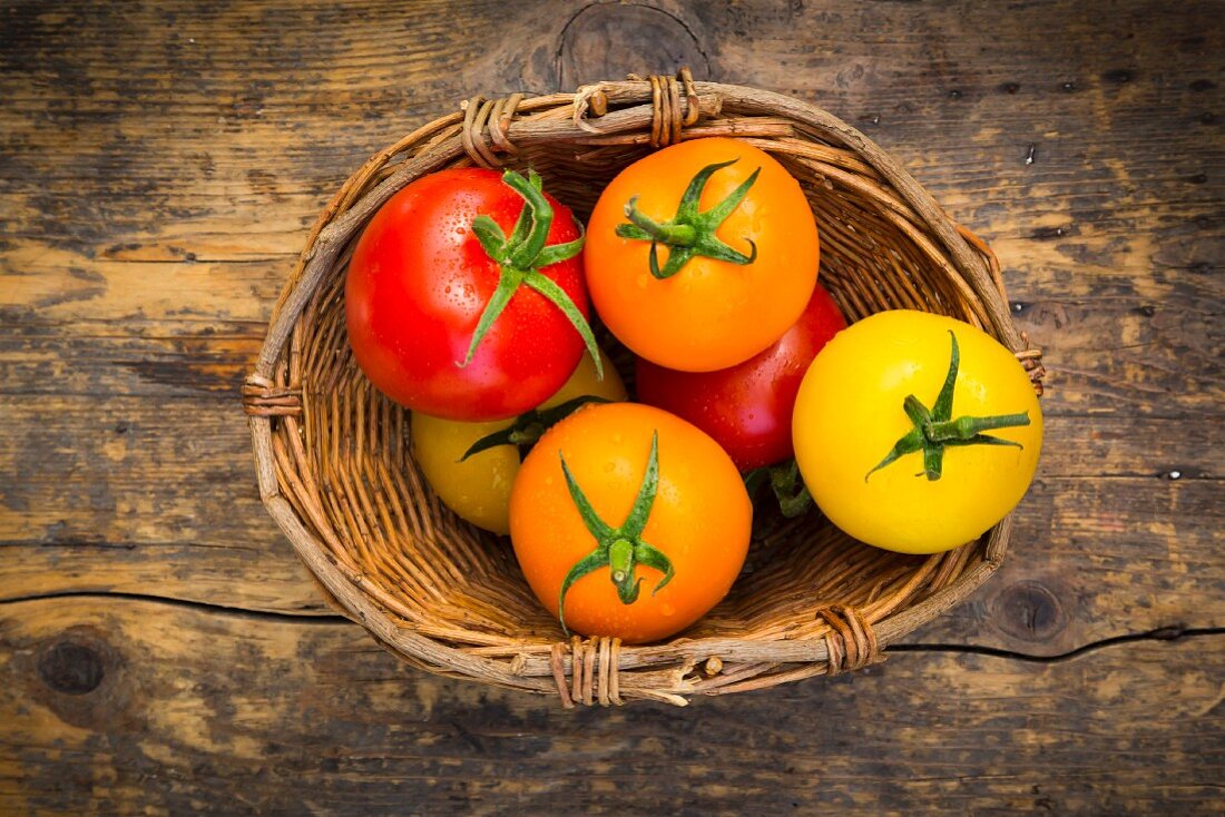 Red, yellow and orange tomatoes in a wicker basket on a wooden surface