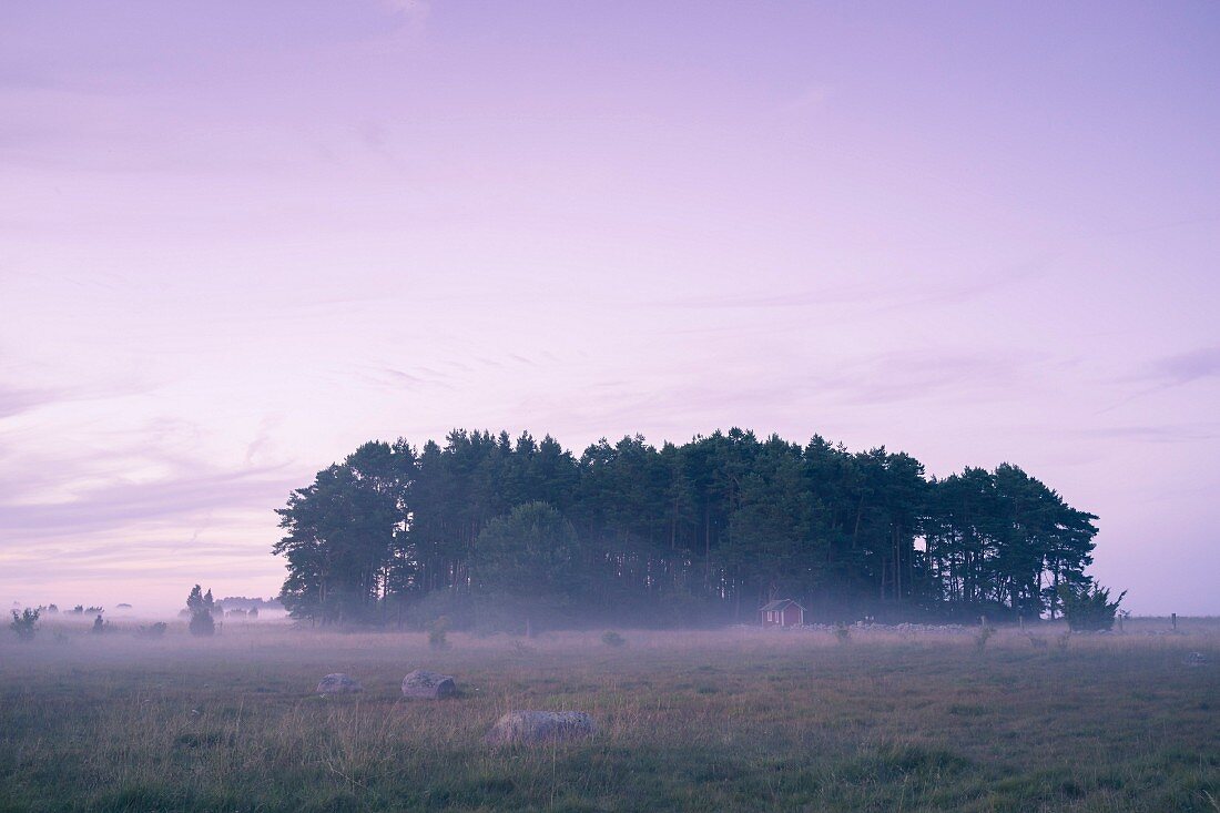 Insel Öland, Südschweden