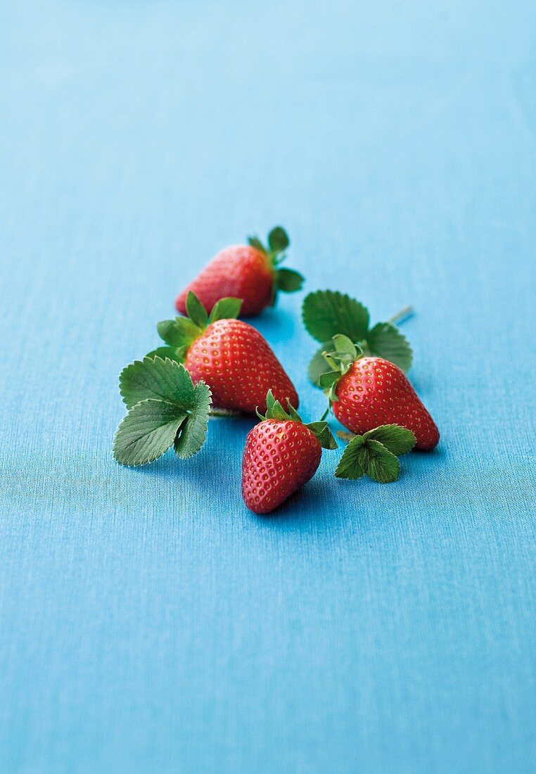 Fresh strawberries with leaves on a blue surface
