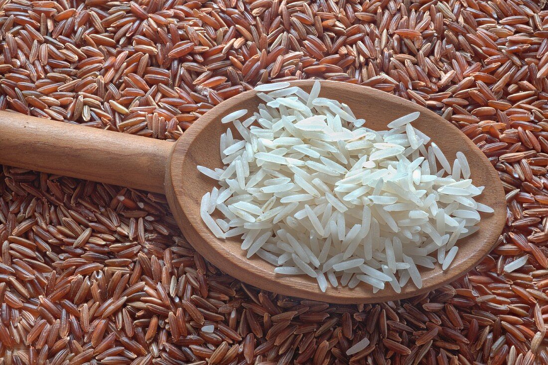 Ein Löffel Basmatireis auf rotem Reis (Draufsicht)