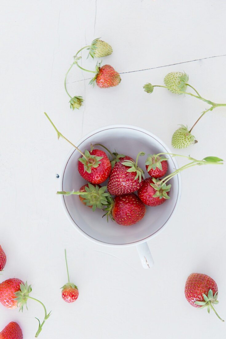 Strawberries in a porcelain cup on a white wooden surface
