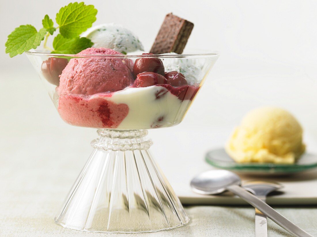 Passion fruit, basil and cherry ice cream on yoghurt