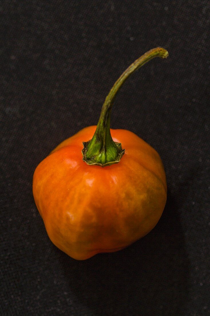 Rote Habanero