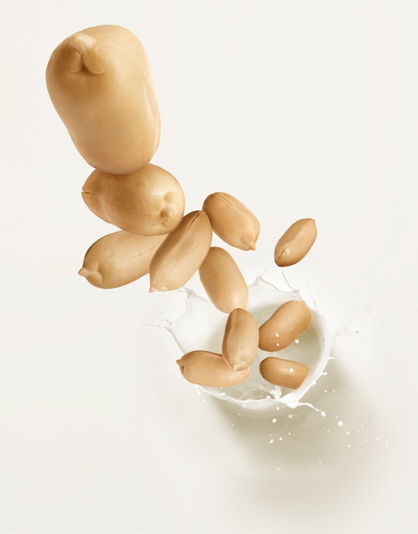 Peanuts falling into peanut milk