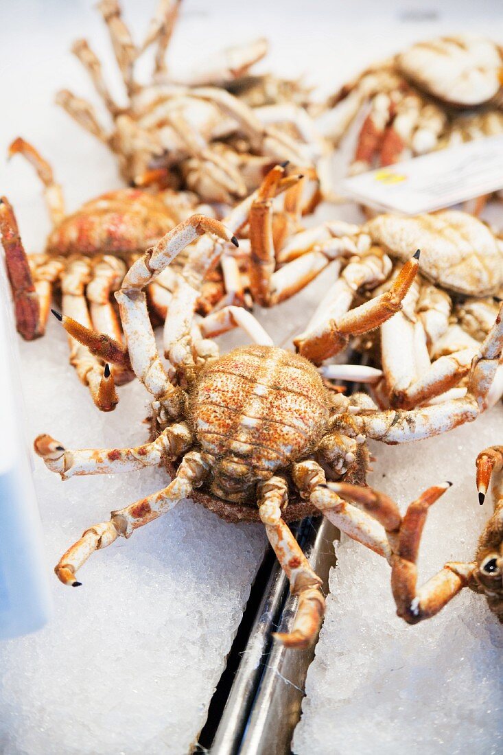 Crabs at a market