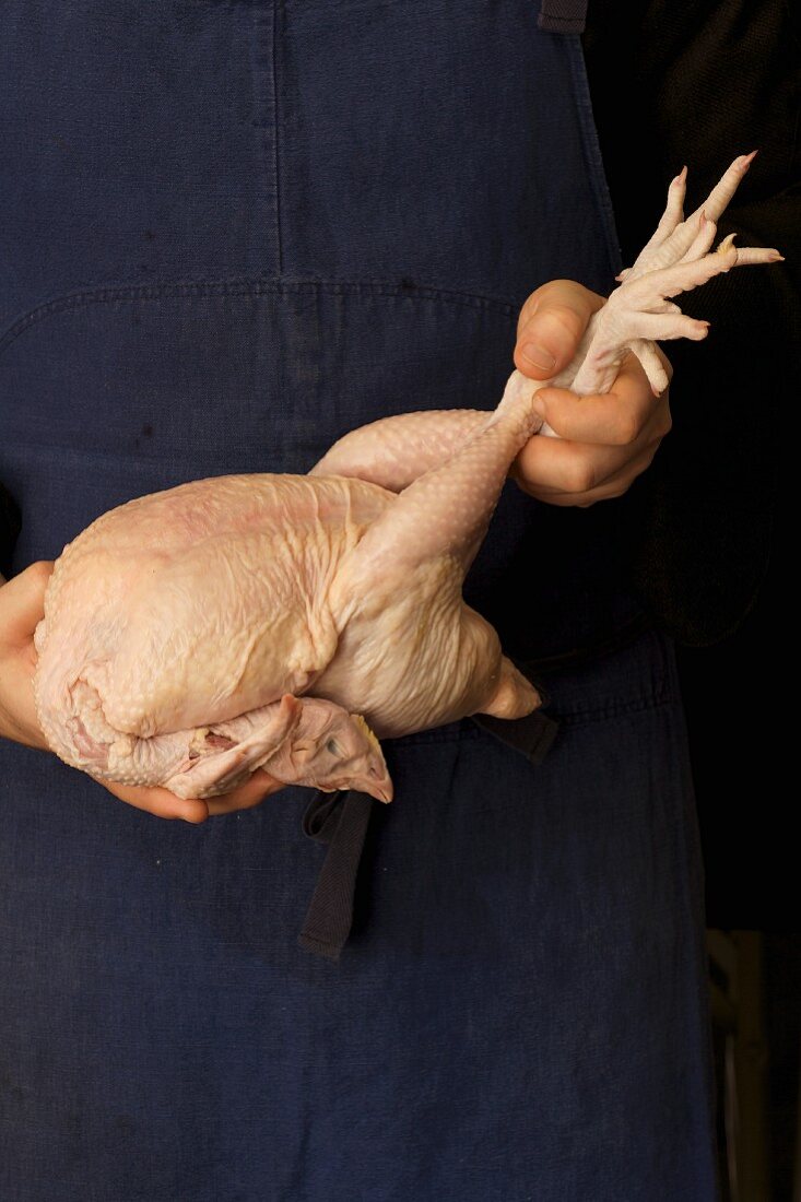 A chef holding a plucked chicken