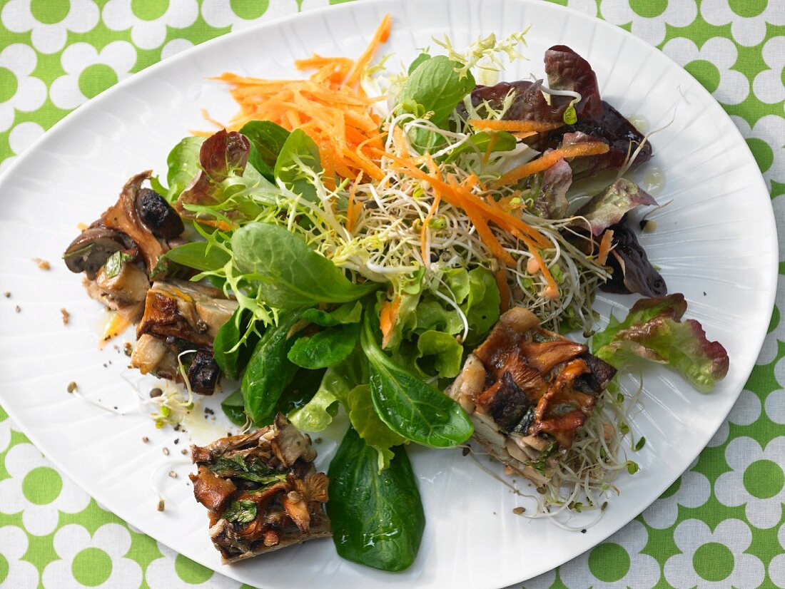 Mushroom gratin on a colourful bean sprout salad