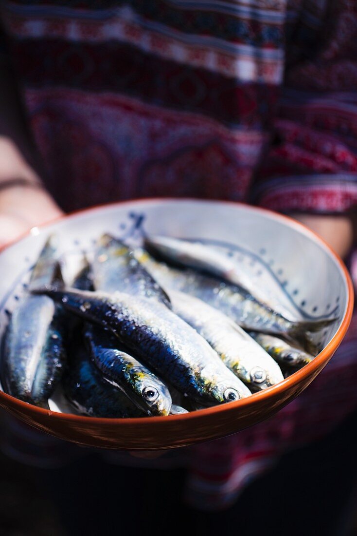 Frische Sardinen in einer Keramikschüssel