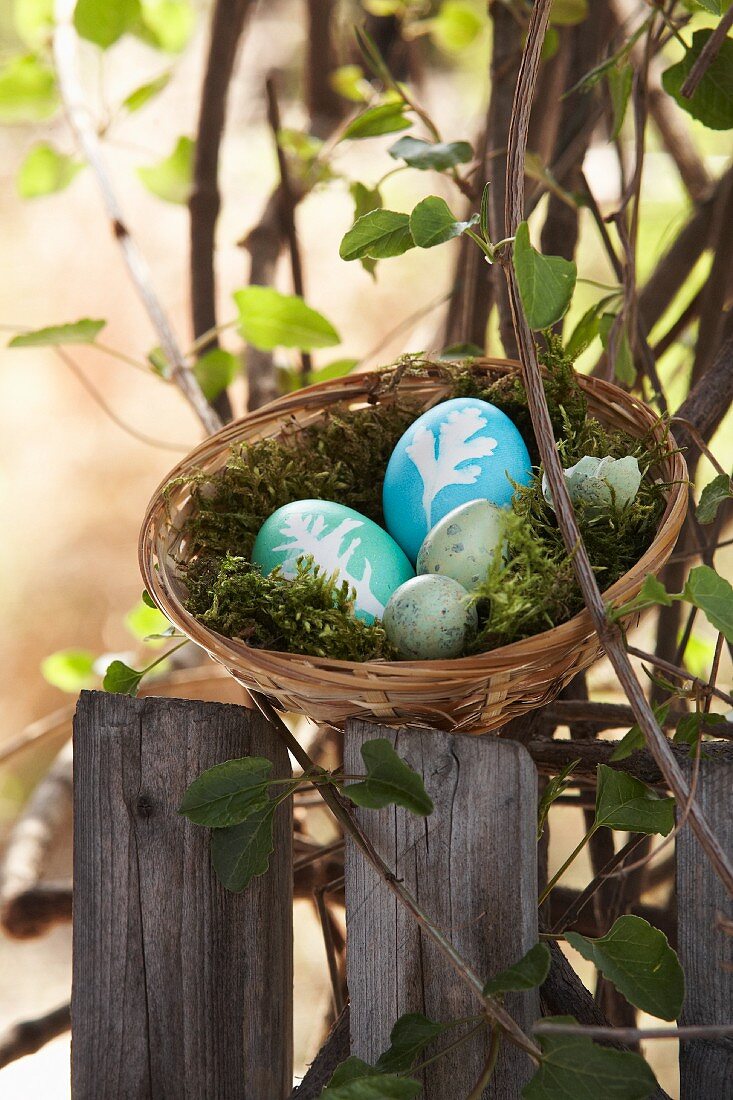 Dyed eggs with leaf patterns in Easter basket