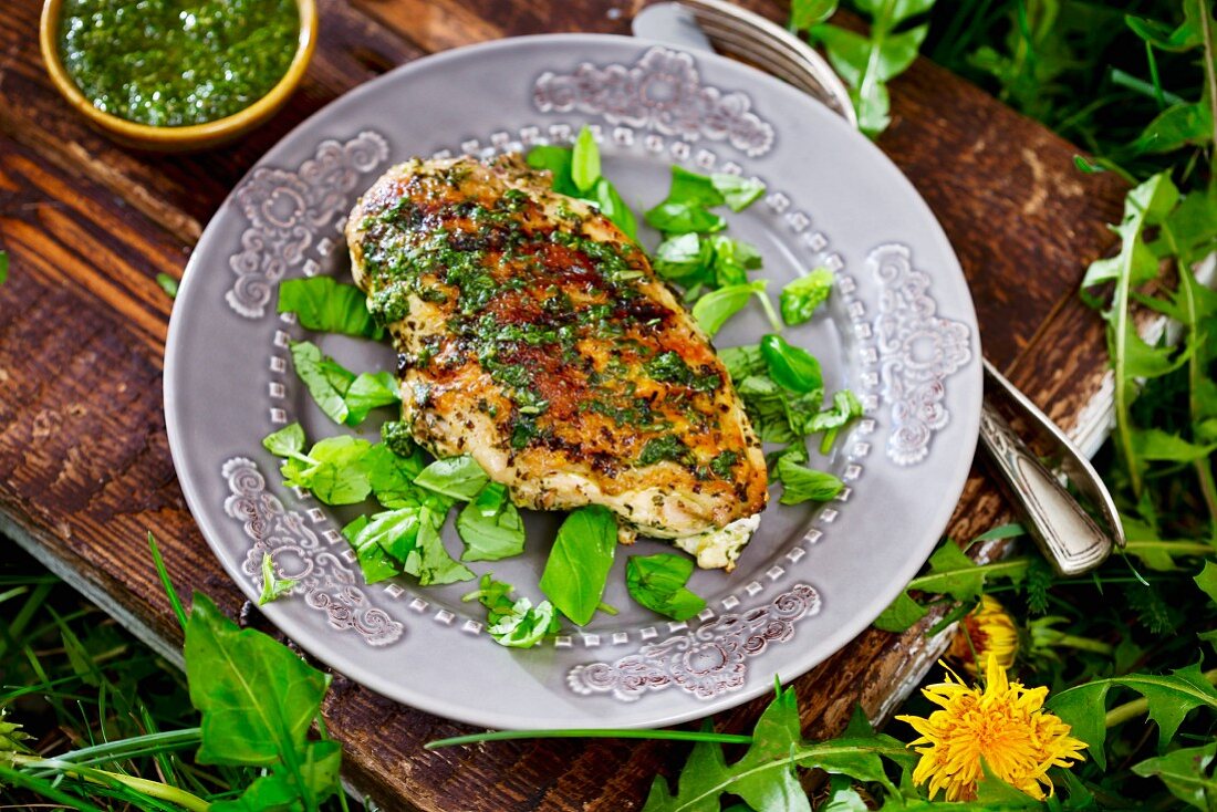 Grilled chicken breast fillet with a herb pesto