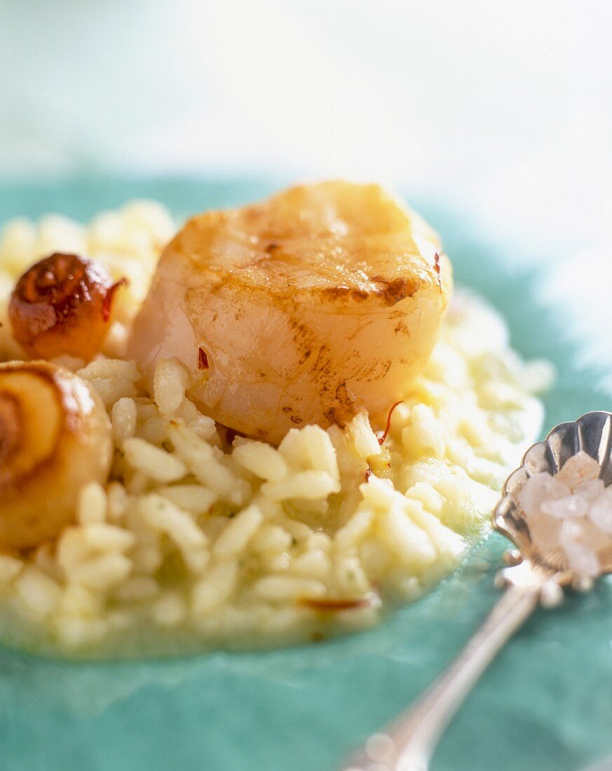 Risotto with scallops