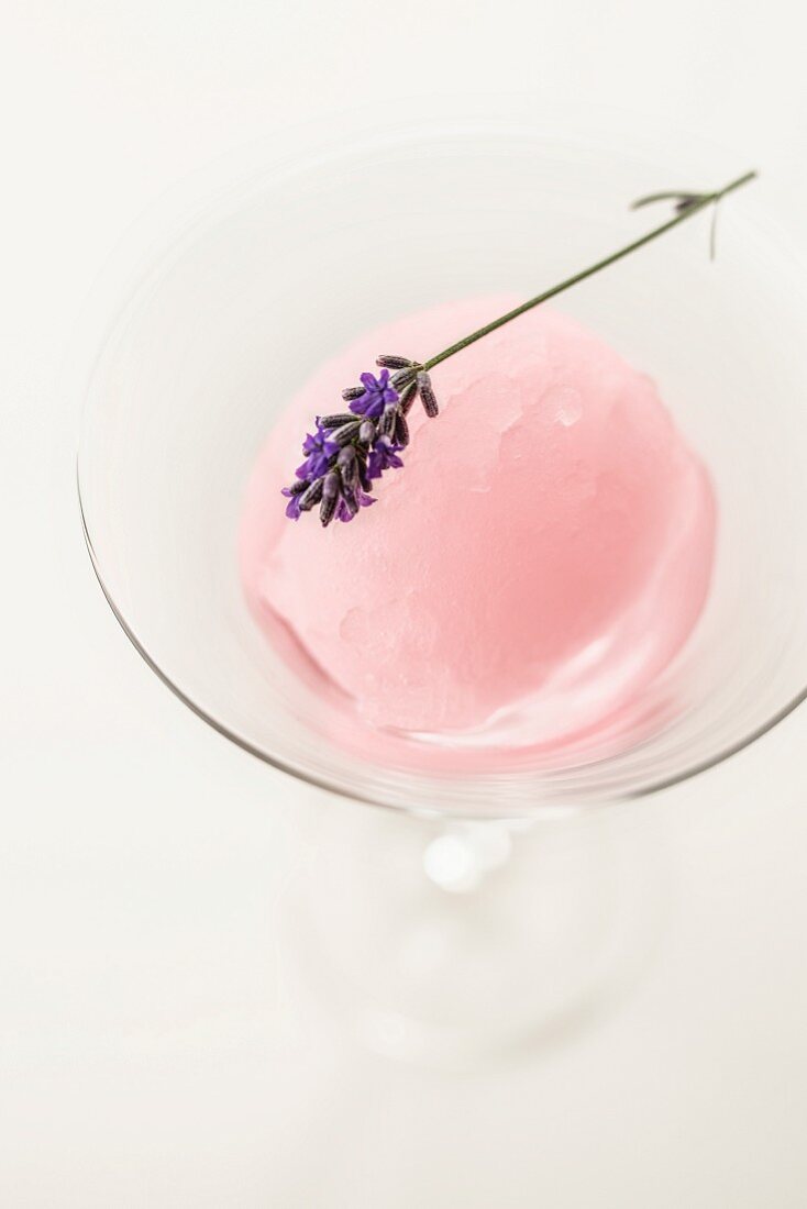 Rose wine sorbet with lavender