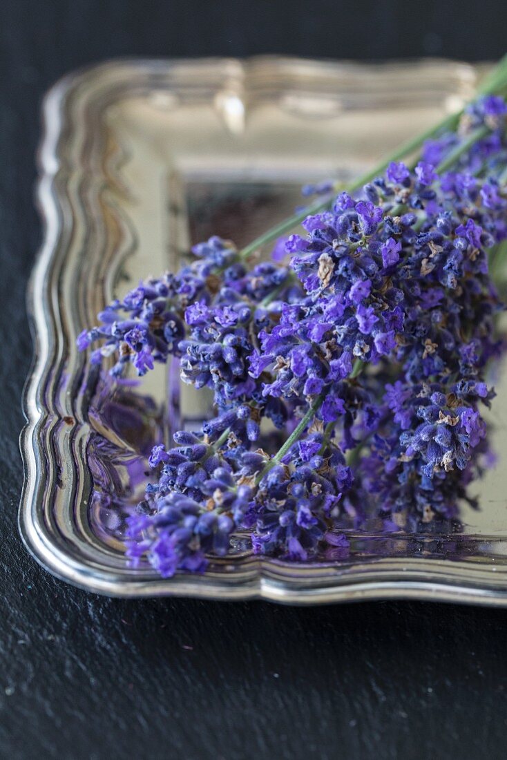 Lavender flowers on a silver tray