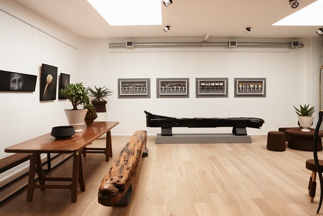 Gallery of pictures and sculptural furniture in artist's apartment