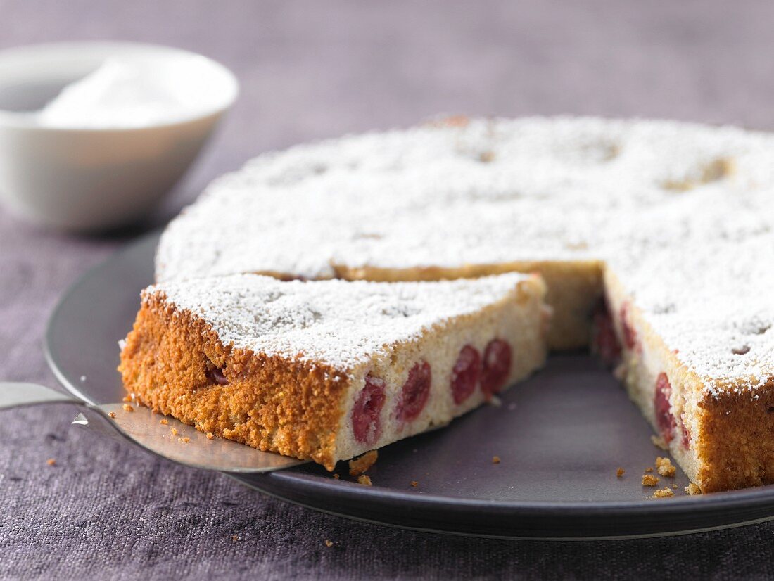 Ricotta quark cake with morello cherries