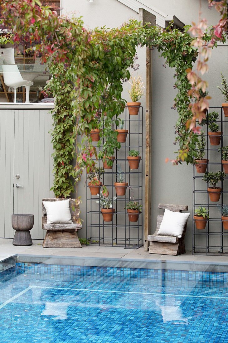 Metal frame with plant pots and vintage wooden chairs in front of house wall, pool with blue mosaic tiles in the foreground
