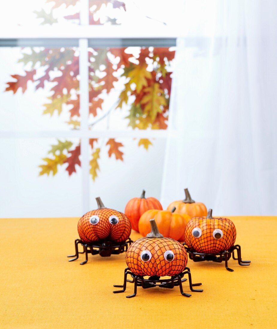 Pumpkin spiders as Halloween decoration