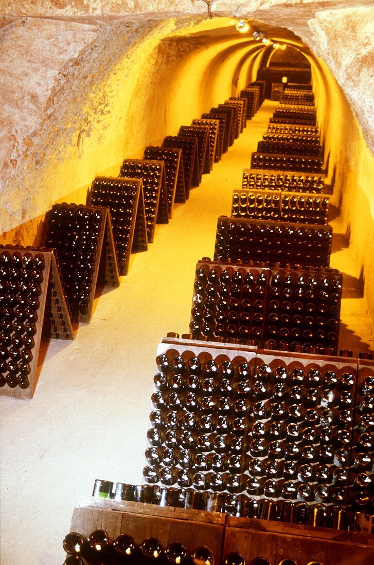 Champagnerflaschen in Rüttelregalen, Taittinger, Frankreich