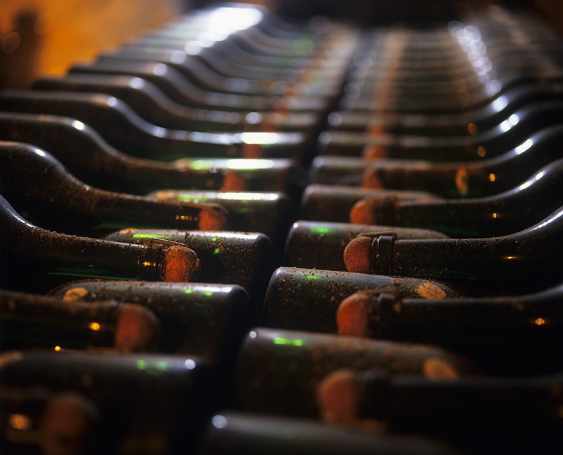 Storing sparkling wine bottles in a wine cellar in Champagne