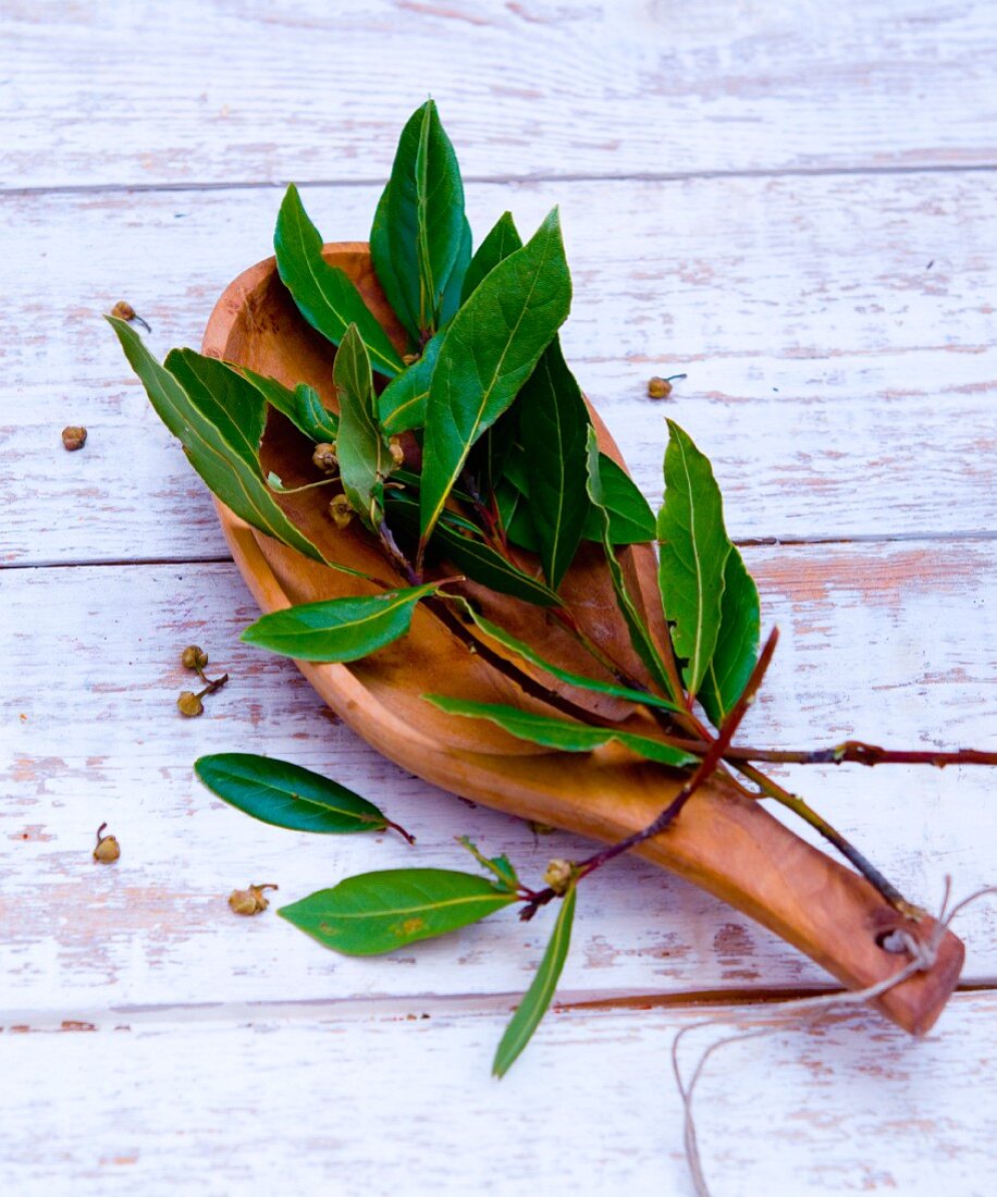 Bay leaves on a wooden spoon