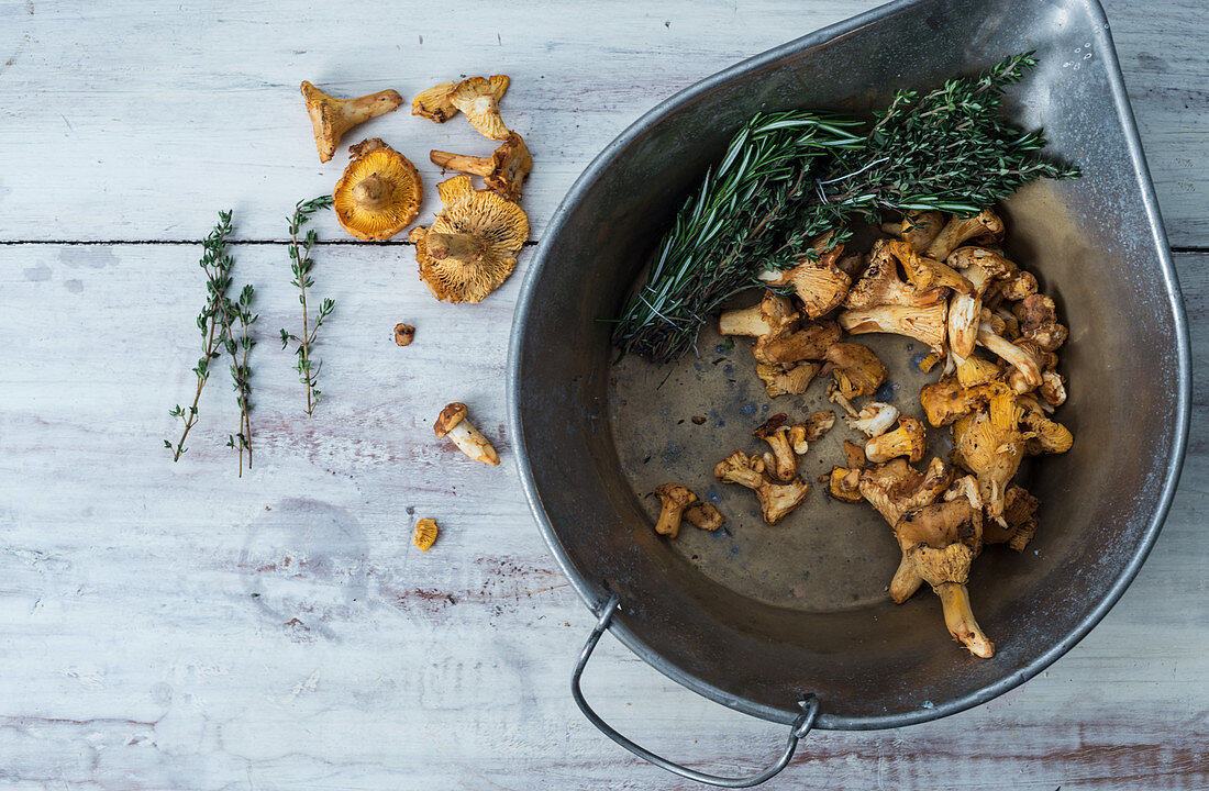 Chanterelle mushrooms in a cast iron bowl with fresh thyme and rosemary on a white wooden surface
