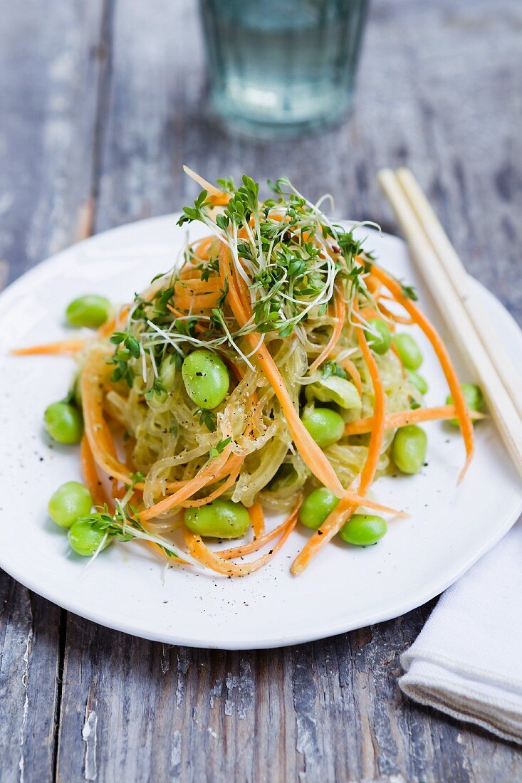 Kelp noodles with carrots, Edamame beans and cress
